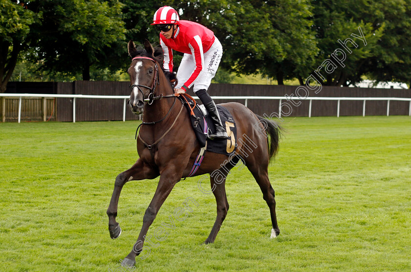 Duty-First-0001 
 DUTY FIRST (James Doyle)
Newmarket 13 Jul 2024 - Pic Steven Cargill / Racingfotos.com