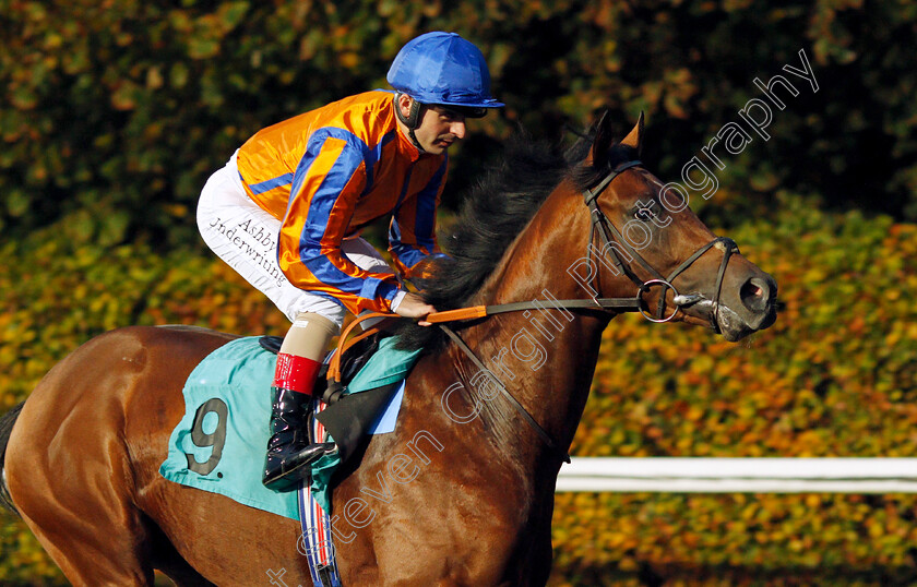 Ward-Castle 
 WARD CASTLE (Andrea Atzeni)
Kempton 10 Nov 2021 - Pic Steven Cargill / Racingfotos.com