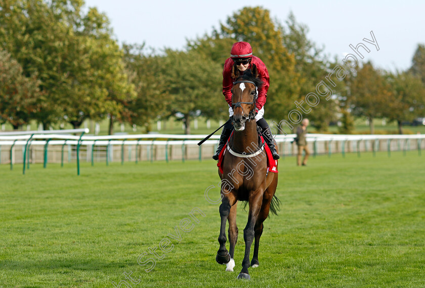 Random-Harvest-0001 
 RANDOM HARVEST (Saffie Osborne)
Newmarket 7 Oct 2023 - Pic Steven Cargill / Racingfotos.com