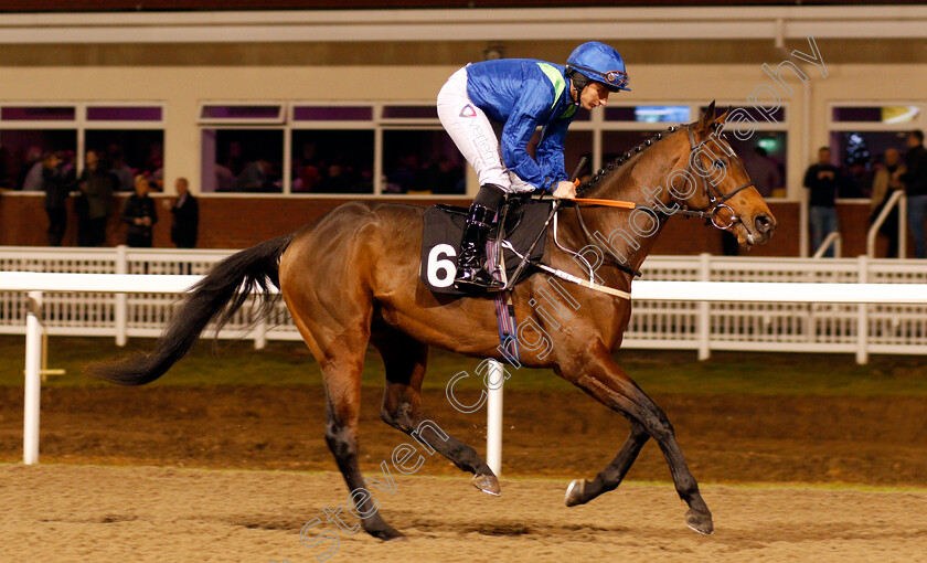 The-Jungle-Vip-0001 
 THE JUNGLE VIP (P J McDonald) Chelmsford 21 Dec 2017 - Pic Steven Cargill / Racingfotos.com