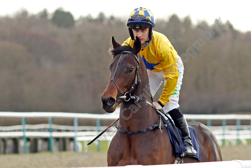 Balon-d Or-0002 
 BALON D'OR (Jason Hart)
Lingfield 20 Jan 2024 - Pic Steven Cargill / Racingfotos.com