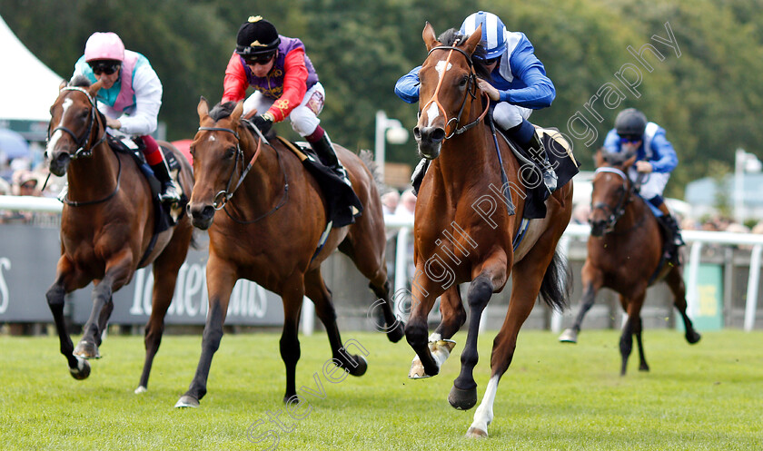 Al-Madhar-0002 
 AL MADHAR (Jim Crowley) wins The Weatherbys British EBF Maiden Stakes
Newmarket 12 Jul 2019 - Pic Steven Cargill / Racingfotos.com