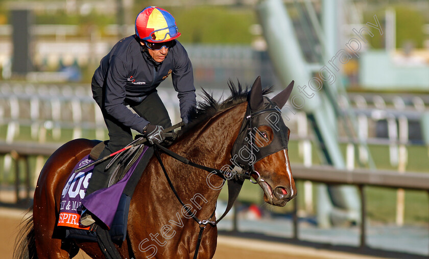 Inspiral-0001 
 INSPIRAL (Frankie Dettori) training for the Breeders' Cup 
Santa Anita 2 Nov 2023 - Pic Steven Cargill / Racingfotos.com