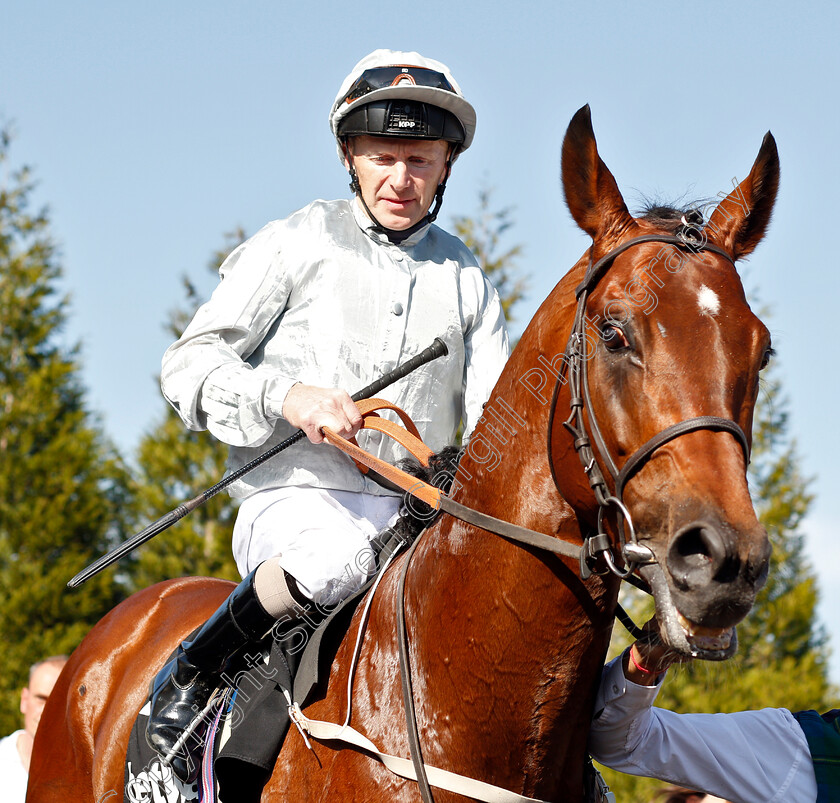 Matterhorn-0011 
 MATTERHORN (Joe Fanning) after The Betway Easter Classic All-Weather Middle Distance Championships Stakes
Lingfield 19 Apr 2019 - Pic Steven Cargill / Racingfotos.com