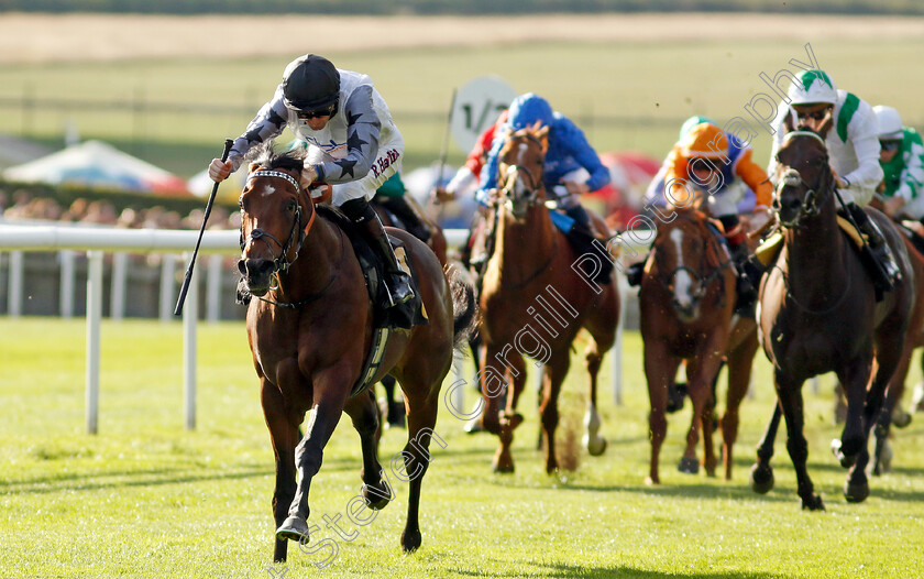 Righthere-Rightnow-0006 
 RIGHTHERE RIGHTNOW (Robert Havlin) wins The Maritime Cargo Services Road Haulage Hustle EBF Newcomers Maiden Stakes
Newmarket 9 Aug 2024 - Pic Steven Cargill / Racingfotos.com