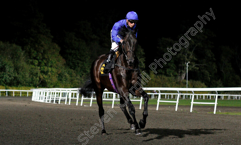 Volcanic-Sky-0001 
 VOLCANIC SKY (Jason Watson)
Kempton 27 Sep 2018 - Pic Steven Cargill / Racingfotos.com