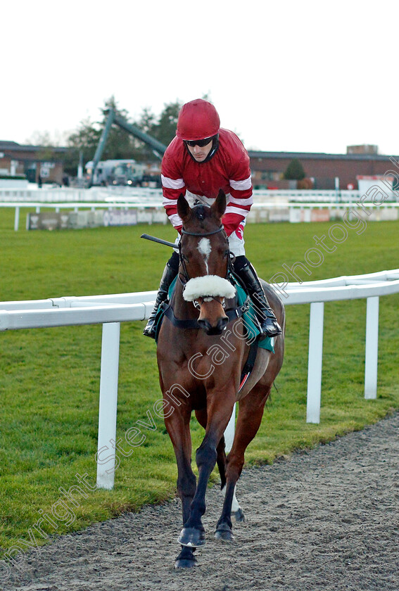 Onward-Route-0001 
 ONWARD ROUTE (Brian Hughes)
Cheltenham 15 Nov 2020 - Pic Steven Cargill / Racingfotos.com