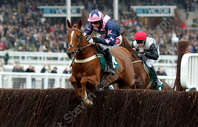 Le-Breuil-0001 
 LE BREUIL (Daryl Jacob)
Cheltenham 16 Nov 2018 - Pic Steven Cargill / Racingfotos.com