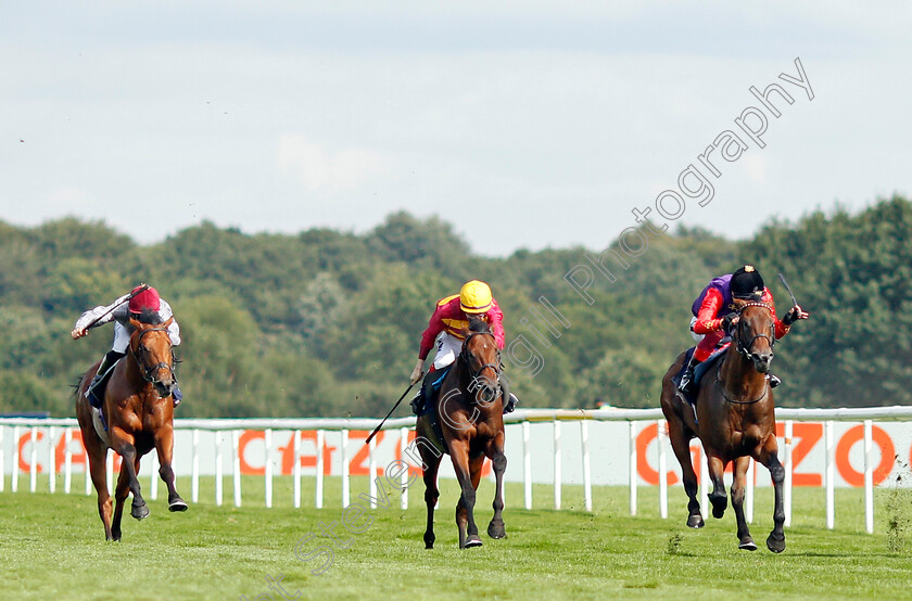 Bayside-Boy-0002 
 BAYSIDE BOY (centre, David Egan) beats REACH FOR THE MOON (right) and LUSAIL (left) in The Champagne Stakes
Doncaster 11 Sep 2021 - Pic Steven Cargill / Racingfotos.com