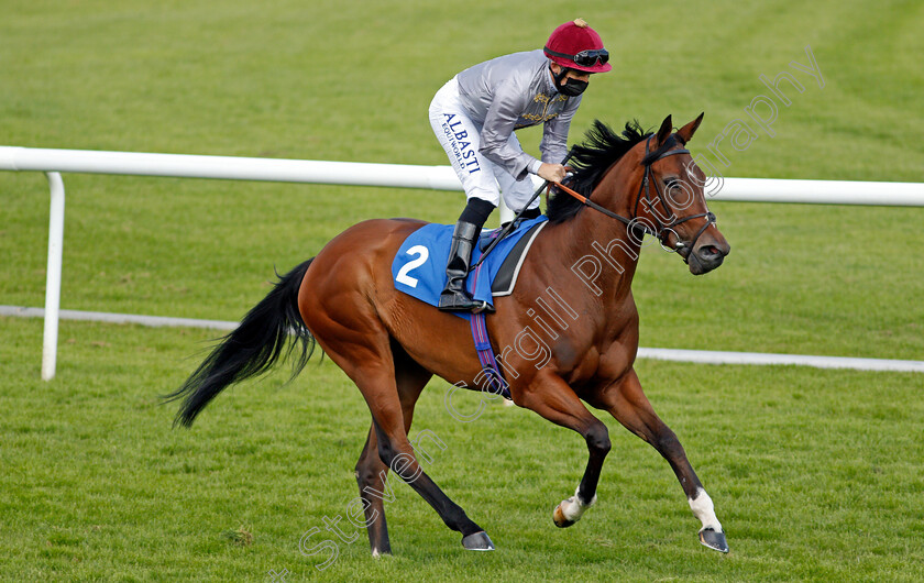 Zwelela-0002 
 ZWELELA (Pat Dobbs)
Leicester 1 Jun 2021 - Pic Steven Cargill / Racingfotos.com