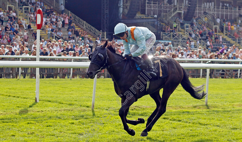 Galactic-Charm-0004 
 GALACTIC CHARM (Oisin Murphy) wins The Patrick B Doyle (Construction) Ltd Handicap
Newmarket 10 Aug 2024 - Pic Steven Cargill / Racingfotos.com