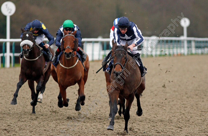 Kyllachy-Gala-0004 
 KYLLACHY GALA (Luke Morris) wins The Betway Handicap
Lingfield 2 Jan 2020 - Pic Steven Cargill / Racingfotos.com