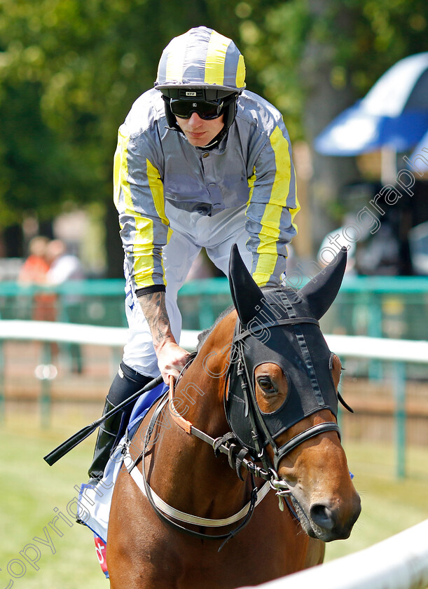 Mondammej-0001 
 MONDAMMEJ (Cam Hardie) 
Haydock 10 Jun 2023 - Pic Steven Cargill / Racingfotos.com