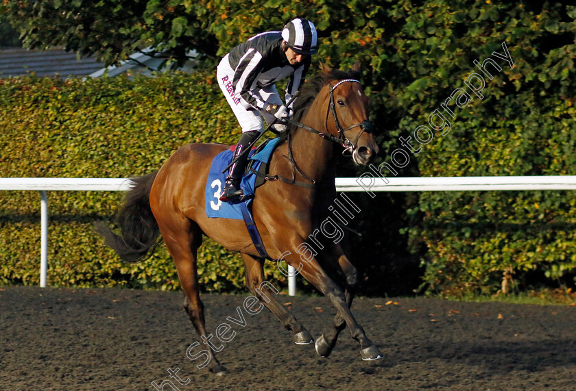 First-Kiss-0001 
 FIRST KISS (Robert Havlin)
Kempton 6 Sep 2024 - Pic Steven Cargill / Racingfotos.com