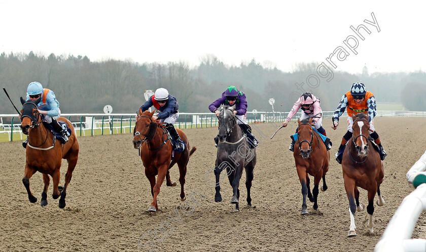 Rusper-0001 
 RUSPER (right, Dougie Costello) beats JOE'S SPIRIT (left) ZALSHAH (2nd left) GUVENOR'S CHOICE (centre) and DREAM MOUNT (2nd right) in The 32Red Casino Handicap Lingfield 6 Jan 2018 - Pic Steven Cargill / Racingfotos.com