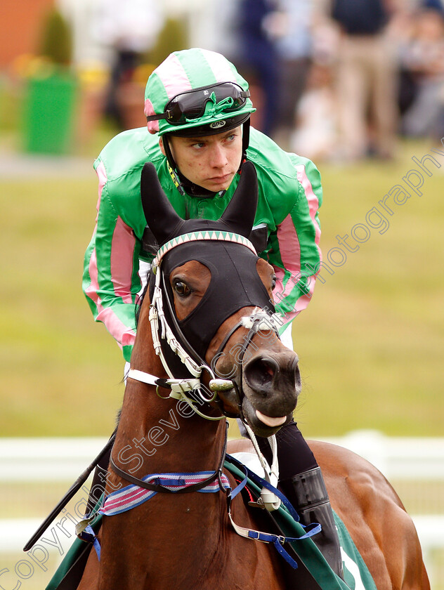 Spoof-0001 
 SPOOF (Callu Shepherd)
Sandown 16 Jun 2018 - Pic Steven Cargill / Racingfotos.com