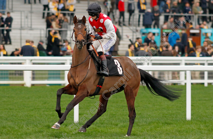 Briery-Butterfly-0002 
 BRIERY BUTTERFLY (Alice Stevens)
Ascot 17 Feb 2024 - Pic Steven Cargill / Racingfotos.com