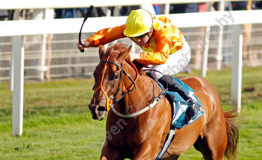 Treasure-Trove-0006 
 TREASURE TROVE (W J Lee) wins The Julia Graves Roses Stakes
York 20 Aug 2022 - Pic Steven Cargill / Racingfotos.com