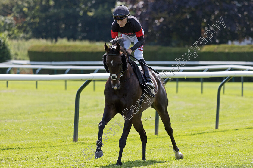 Em-Jay-Kay-0001 
 EM JAY KAY (Tyler Heard) winner of The Follow Us On X @betrhino Handicap
Nottingham 19 Jul 2024 - Pic Steven Cargill / Megan Dent / Racingfotos.com