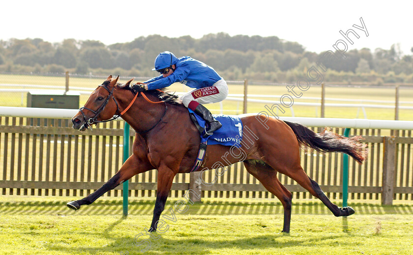 Benbatl-0001 
 BENBATL (Oisin Murphy) wins The Shadwell Joel Stakes
Newmarket 27 Sep 2019 - Pic Steven Cargill / Racingfotos.com