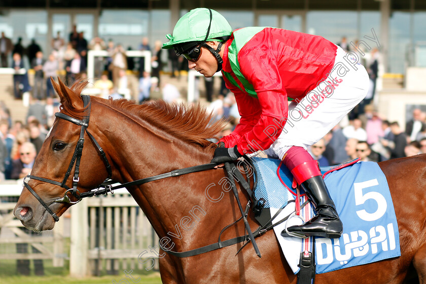 Waldstern-0001 
 WALDSTERN (Frankie Dettori) 
Newmarket 13 Oct 2018 - Pic Steven Cargill / Racingfotos.com