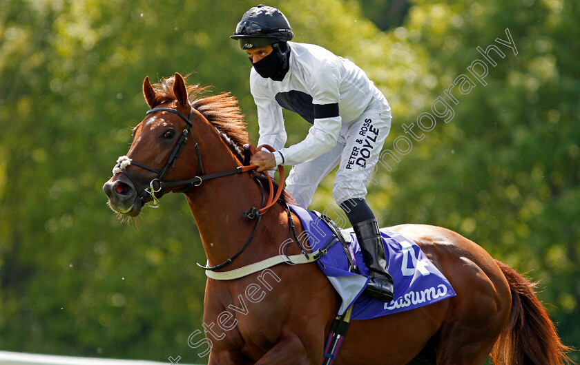 Method-0003 
 METHOD (Sean Levey)
Haydock 22 May 2021 - Pic Steven Cargill / Racingfotos.com