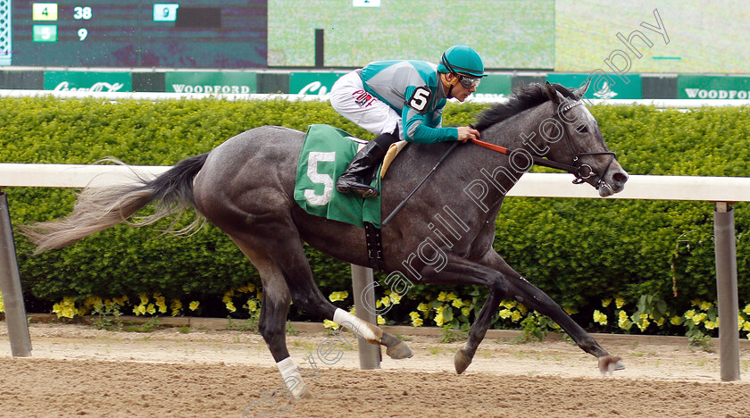 Stifle-Yourself-0004 
 STIFLE YOURSELF (Junior Alvarado) wins Maiden
Belmont Park USA 6 Jun 2019 - Pic Steven Cargill / Racingfotos.com