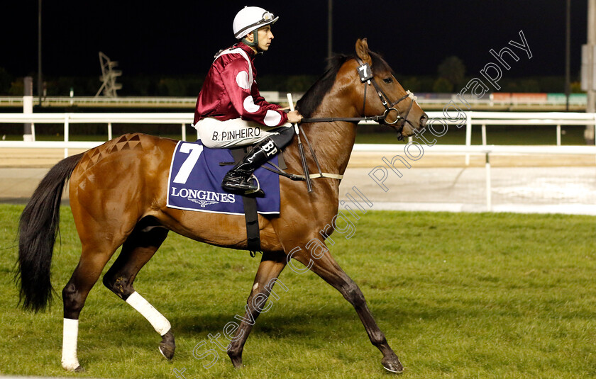 Nopoli-0001 
 NOPOLI (Bernardo Pinheiro)
Meydan 27 Jan 2023 - Pic Steven Cargill / Racingfotos.com