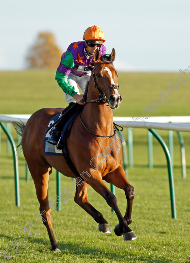 Another-Odyssey-0002 
 ANOTHER ODYSSEY (Jack Mitchell)
Newmarket 20 Oct 2021 - Pic Steven Cargill / Racingfotos.com