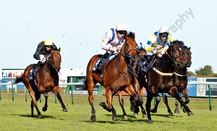 Glorious-Charmer-0003 
 GLORIOUS CHARMER (centre, Jamie Spencer) beats MASTER MATT (right) in The Grosvenor Casino Of Great Yarmouth Nursery
Yarmouth 23 Oct 2018 - Pic Steven Cargill / Racingfotos.com