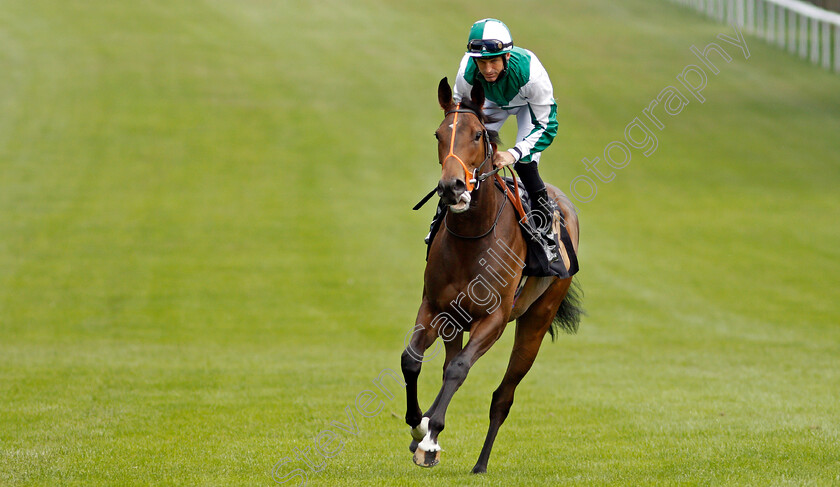 Ardbraccan-0001 
 ARDBRACCAN (Pat Dobbs)
Newmarket 26 Jun 2021 - Pic Steven Cargill / Racingfotos.com