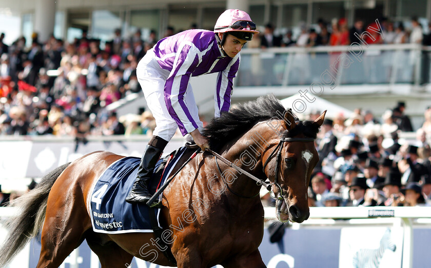 Kew-Gardens-0001 
 KEW GARDENS (Donnacha O'Brien)
Epsom 2 Jun 2018 - Pic Steven Cargill / Racingfotos.com