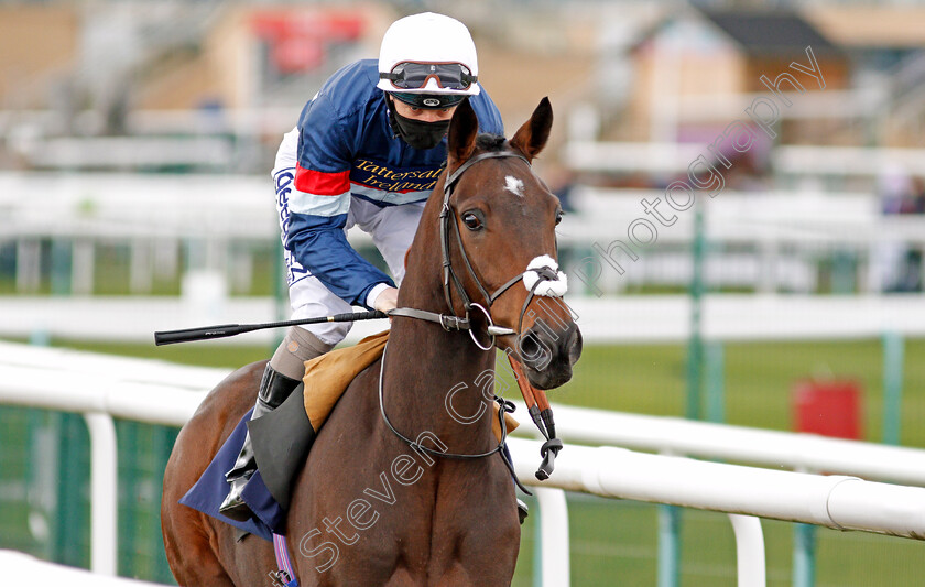 Carolus-Magnus-0002 
 CAROLUS MAGNUS (David Probert)
Doncaster 28 Mar 2021 - Pic Steven Cargill / Racingfotos.com