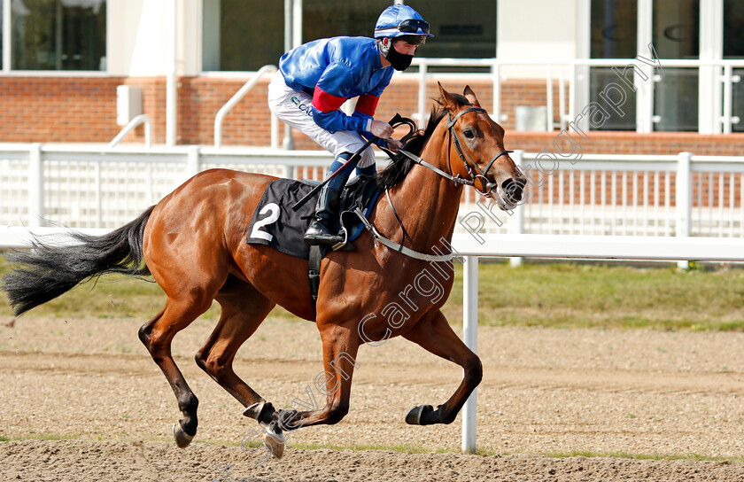 Champagne-Haza-0001 
 CHAMPAGNE HAZA (Darragh Keenan)
Chelmsford 20 Sep 2020 - Pic Steven Cargill / Racingfotos.com