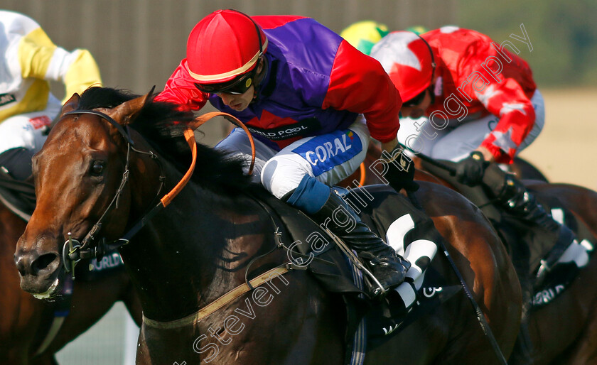 Blue-Prince-0003 
 BLUE PRINCE (David Probert) wins The HKJC World Pool Handicap
Goodwood 31 Jul 2024 - Pic Steven Cargill / Racingfotos.com