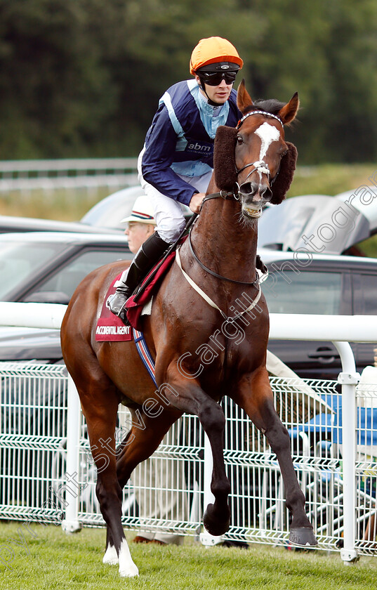 Accidental-Agent-0001 
 ACCIDENTAL AGENT (Charles Bishop)
Goodwood 31 Jul 2019 - Pic Steven Cargill / Racingfotos.com