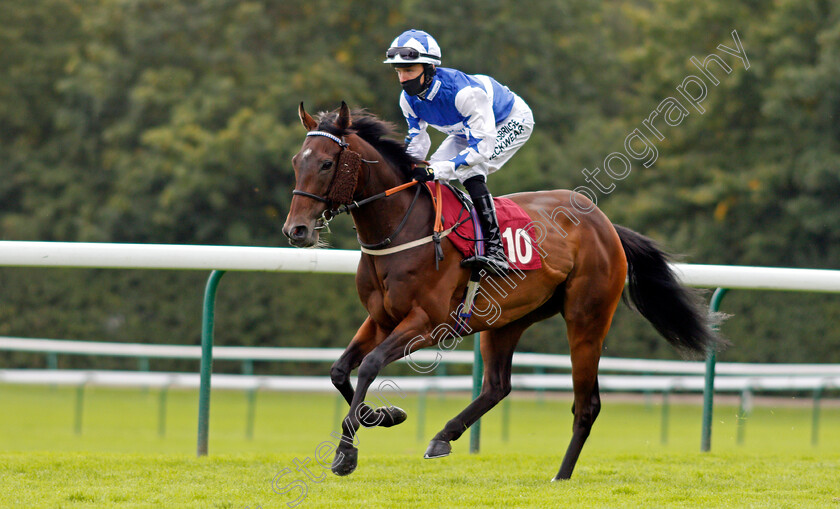 Vintage-Brut-0002 
 VINTAGE BRUT (Phil Dennis)
Haydock 4 Sep 2020 - Pic Steven Cargill / Racingfotos.com