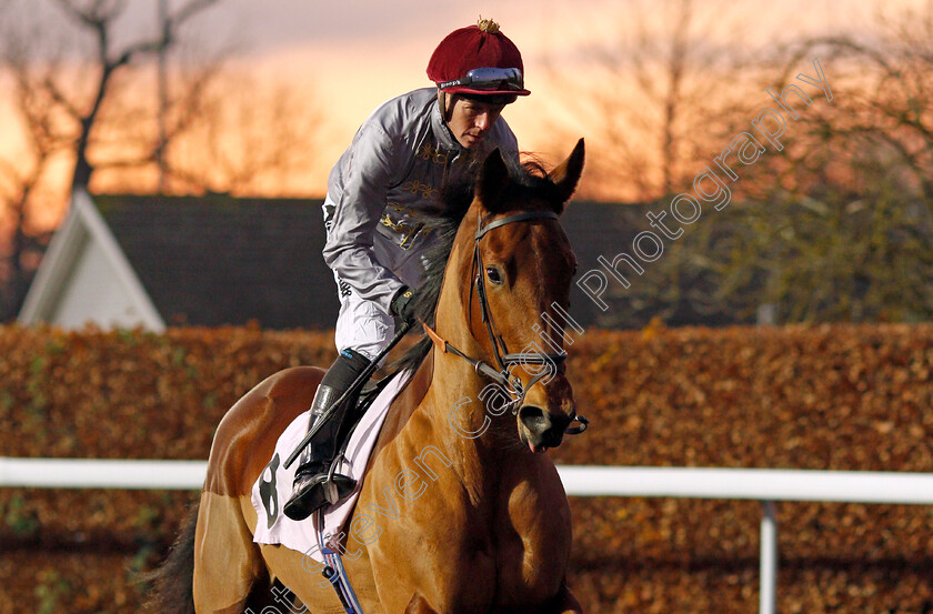 Al-Dawodiya-0002 
 AL DAWODIYA (Jim Crowley)
Kempton 4 Dec 2019 - Pic Steven Cargill / Racingfotos.com