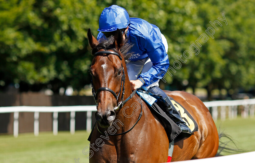 Noble-Dynasty-0006 
 NOBLE DYNASTY (William Buick) winner of The Plantation Stud Criterion Stakes
Newmarket 29 Jun 2024 - Pic Steven Cargill / Racingfotos.com