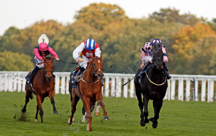 Dominating-0001 
 DOMINATING (centre, P J McDonald) beats ALTAAYIL (right) in The Canaccord Genuity Gordon Carter Handicap Ascot 6 Oct 2017 - Pic Steven Cargill / Racingfotos.com