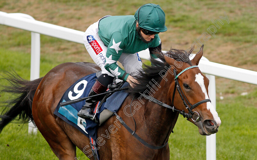 Majestic-Noor-0011 
 MAJESTIC NOOR (Hollie Doyle) wins The EBF Stallions John Musker Fillies Stakes
Yarmouth 16 Sep 2020 - Pic Steven Cargill / Racingfotos.com