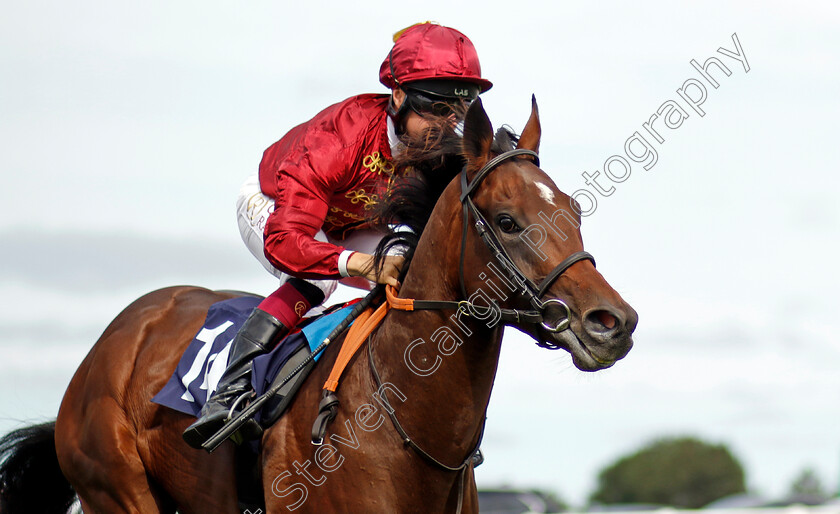 Zoology-0001 
 ZOOLOGY (Cieren Fallon) wins The British Stallion Studs EBF Novice Stakes
Yarmouth 13 Sep 2022 - Pic Steven Cargill / Racingfotos.com