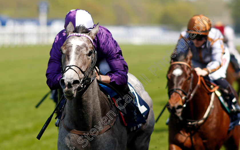 Maximum-Impact-0001 
 MAXIMUM IMPACT (Kevin Stott) wins The Royal Ascot Two-Year-Old Trial EBF Conditions Stakes
Ascot 3 May 2023 - Pic Steven Cargill / Racingfotos.com