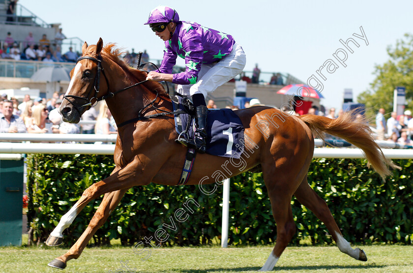 Blonde-Warrior-0007 
 BLONDE WARRIOR (James Doyle) wins The Edmond Shipway Novice Stakes
Doncaster 29 Jun 2018 - Pic Steven Cargill / Racingfotos.com