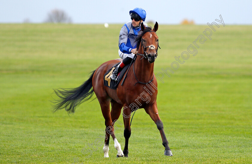 Fearless-Bay 
 FEARLESS BAY (Martin Harley)
Newmarket 29 Oct 2021 - Pic Steven Cargill / Racingfotos.com