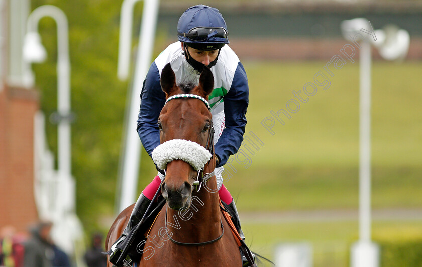 Masekela-0001 
 MASEKELA (Oisin Murphy) winner of The British EBF Novice Stakes
Goodwood 21 May 2021 - Pic Steven Cargill / Racingfotos.com