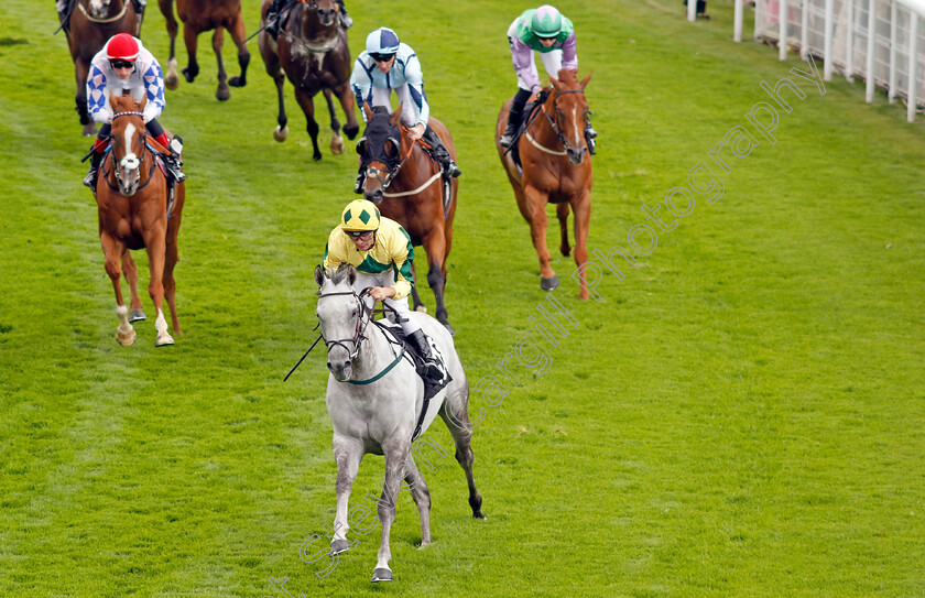 Lord-Riddiford-0001 
 LORD RIDDIFORD (Andrea Atzeni) wins The Coral Handicap
Goodwood 1 Aug 2023 - Pic Steven Cargill / Racingfotos.com