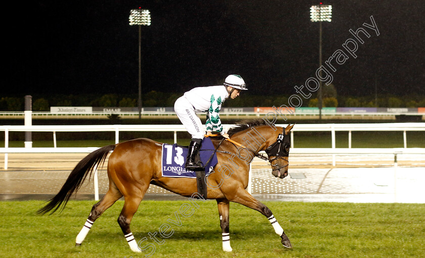 Zaman-0001 
 ZAMAN (Ray Dawson)
Meydan 27 Jan 2023 - Pic Steven Cargill / Racingfotos.com