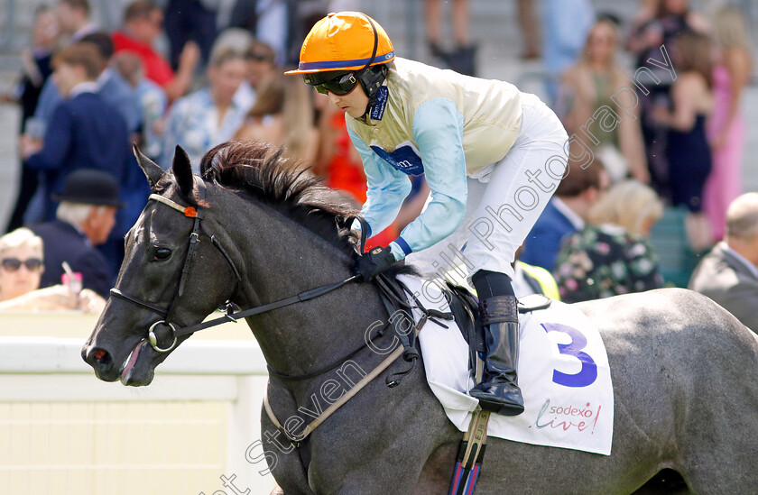 Betty-Clover-0002 
 BETTY CLOVER (Georgia Dobie)
Ascot 27 Jul 2024 - Pic Steven Cargill / Racingfotos.com