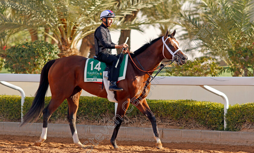 Isolate-0001 
 ISOLATE training for The Saudi Cup
King Abdulaziz Racecourse, Saudi Arabia 21 Feb 2024 - Pic Steven Cargill / Racingfotos.com